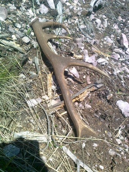 dnešný mladý desatoráčik /1/