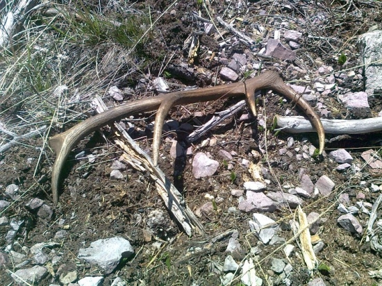 dnešný mladý desatoráčik /2/