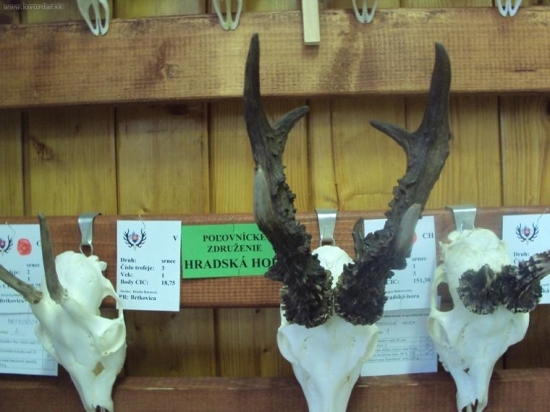 Chovatelská výstava Liptovský Hrádok