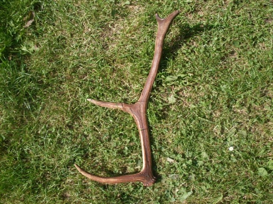 pri práci v Jánskej doline