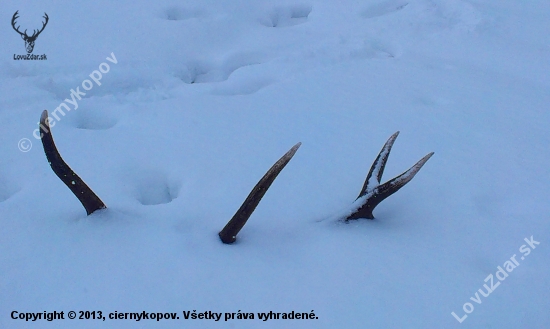 niečo z dnešných hodov