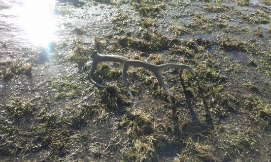 keď slnko sneh roztopí.