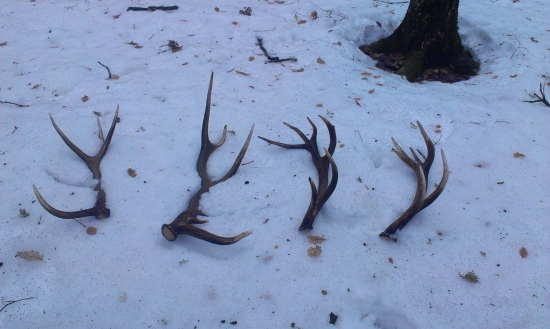 a tak sa mi nechcelo stávať