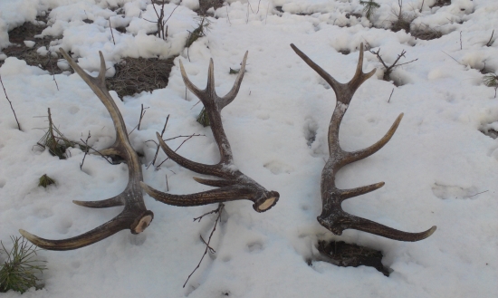 8, 9, 10, ale už s tých lahších 