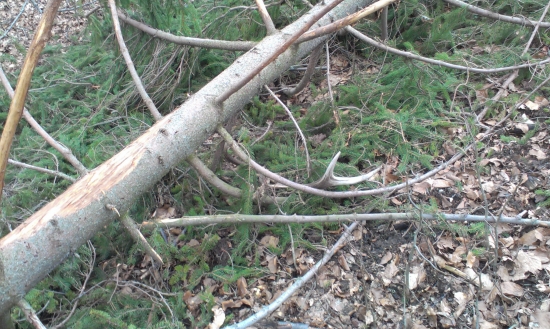 aj také sa musia vyzbierať