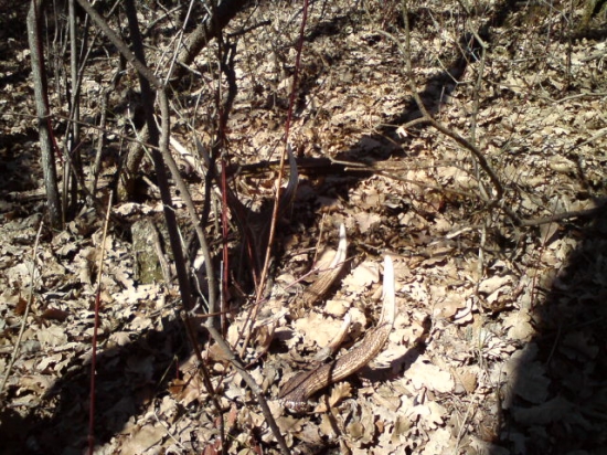 vcera,zase minuloročný