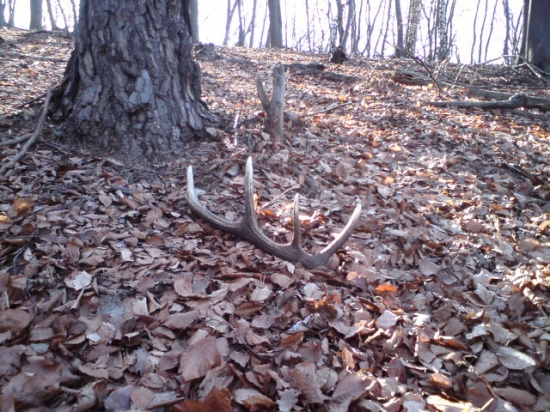 v nedelu,tiež minuloročný