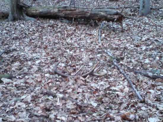 dnes,minulorocný desatorák