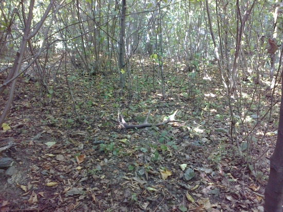 dnes,zase desatorák,ale minuloročný