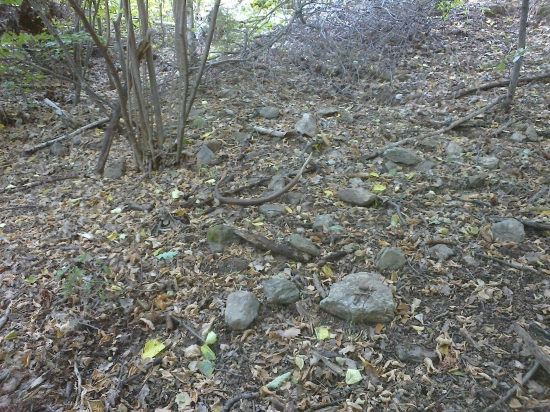 stále sa daju nájst