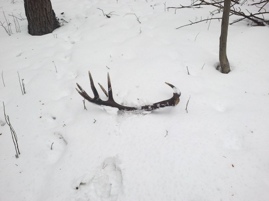 včera moj najvačší,ale minuloročný