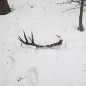 včera moj najvačší,ale minuloročný