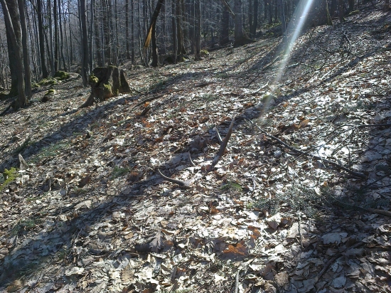 odlezany,ale dockal sa