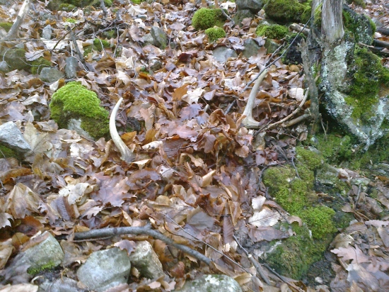 sezona 2014 zahajena