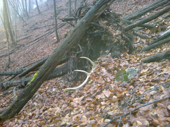 druha vychadzka,skoda ze neskoro