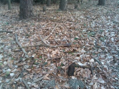 desatorak,minulorocny