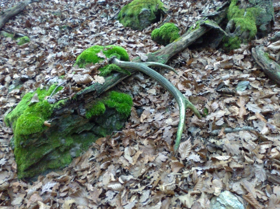 víkendová prechádzka