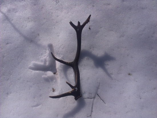 Pekná nedelná prechádzka 2