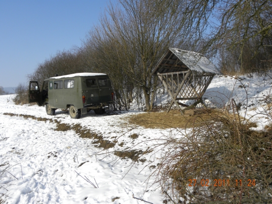 Dnešné prikrmovanie