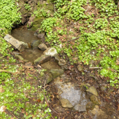 Vyčistená studnička