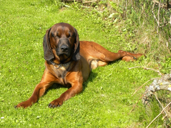 Ticho prosím spím- BAK