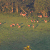 Pri vychádzajúcom slnku