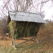 Dnešné prikrmovanie