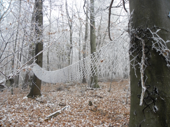 Žeby volejbalové ihrisko?