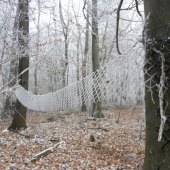 Žeby volejbalové ihrisko?