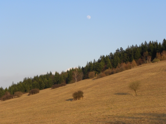 Pekný podvečer.
