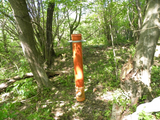 Dnes - pre diviačikov.