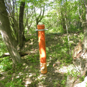 Dnes - pre diviačikov.