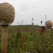 Najvyššie položeny posed v revíri