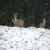 Po prvý krát na snehu