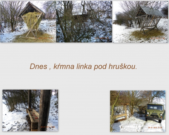Kŕmna linka pod hruškou