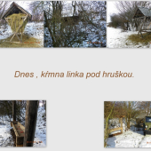 Kŕmna linka pod hruškou