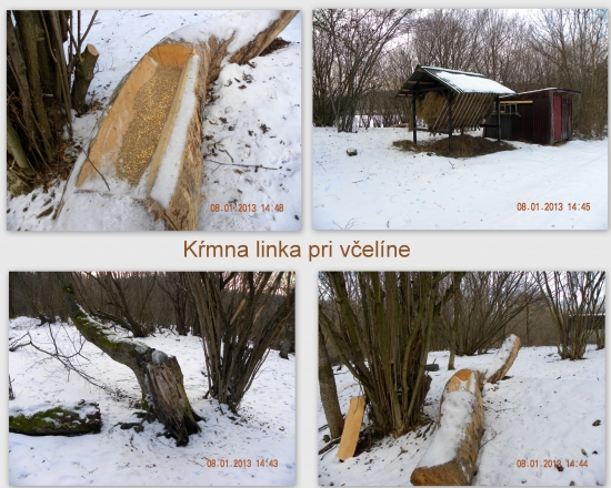 Kŕmna linka pri včelíne