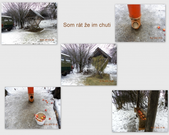 Som rát že im chuti