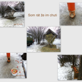 Som rát že im chuti