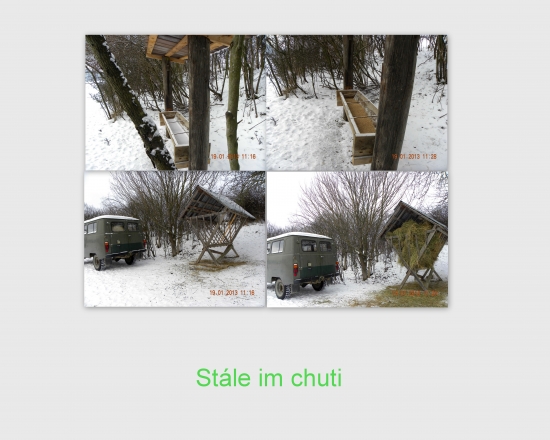 Stále im chuti