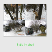 Stále im chuti