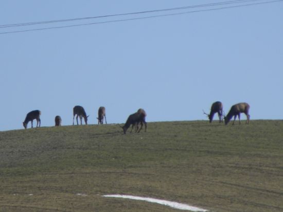 Na horizonte