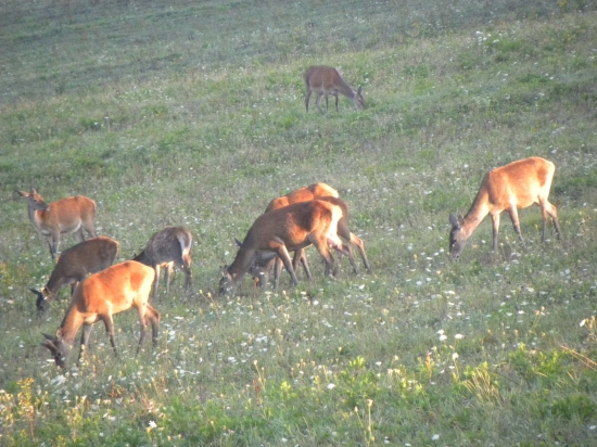 Keď vychádza slnko.