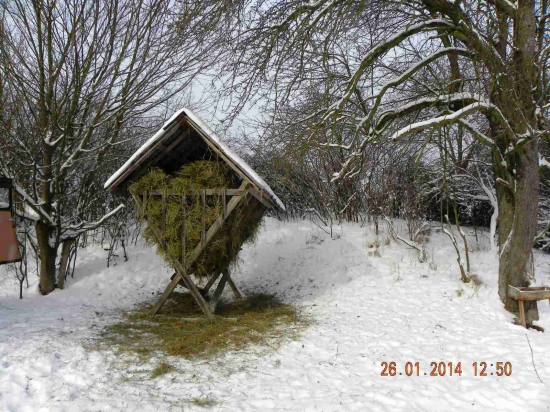 Dnešné prikrmovanie