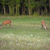 Čo skoro to začne.