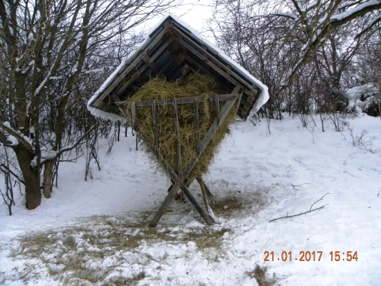 Prišiel čas pomôcť