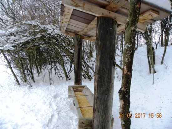 Prišiel čas pomôcť