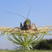 štartovacia plocha