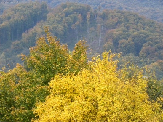 Jeseň