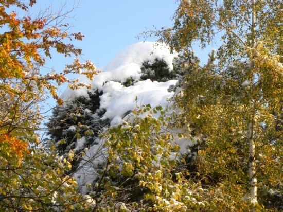 16.10.2009.
